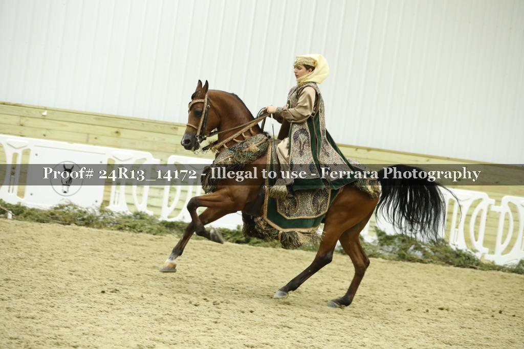 Proof 24R13_14172