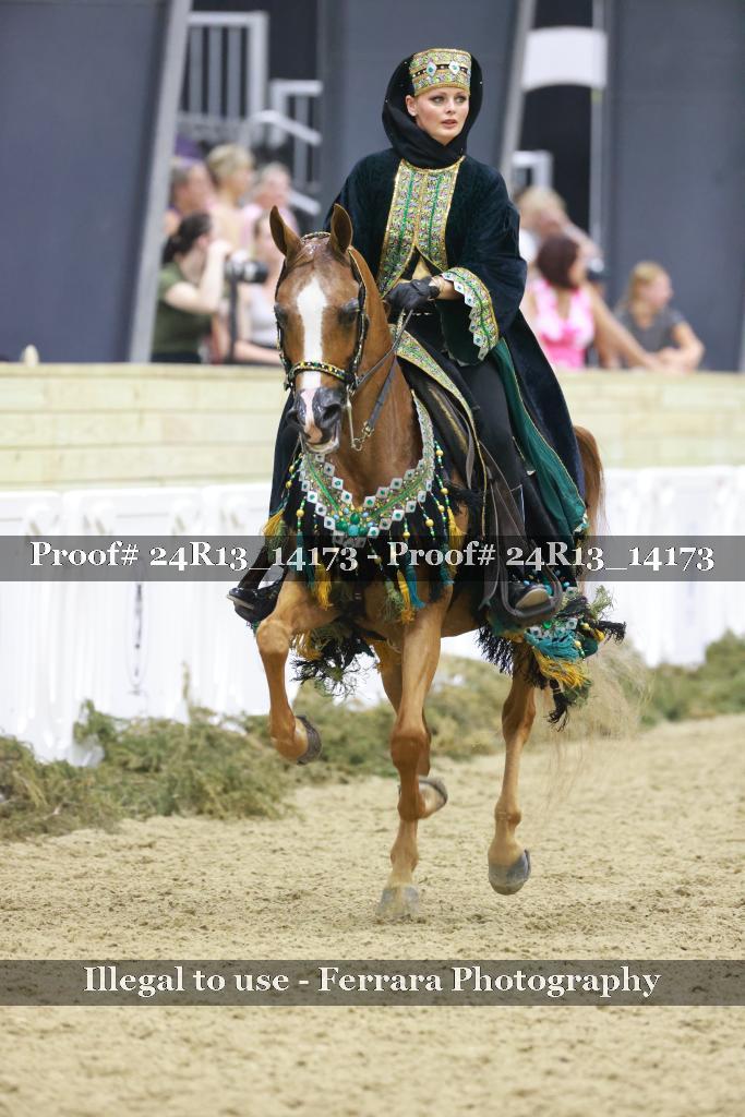 Proof 24R13_14173