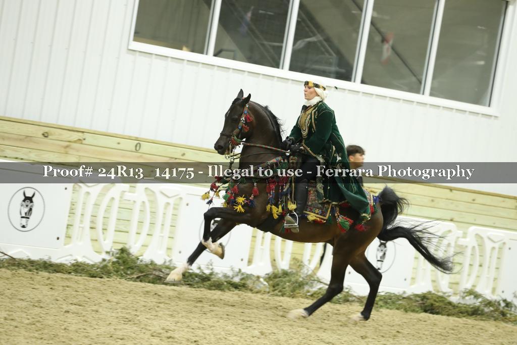 Proof 24R13_14175