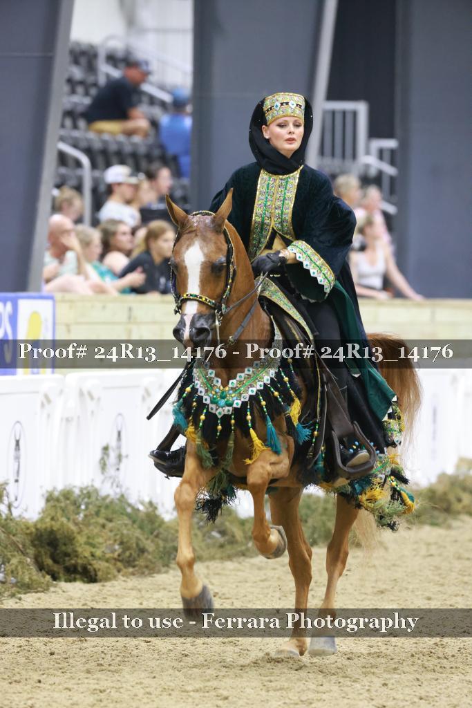 Proof 24R13_14176