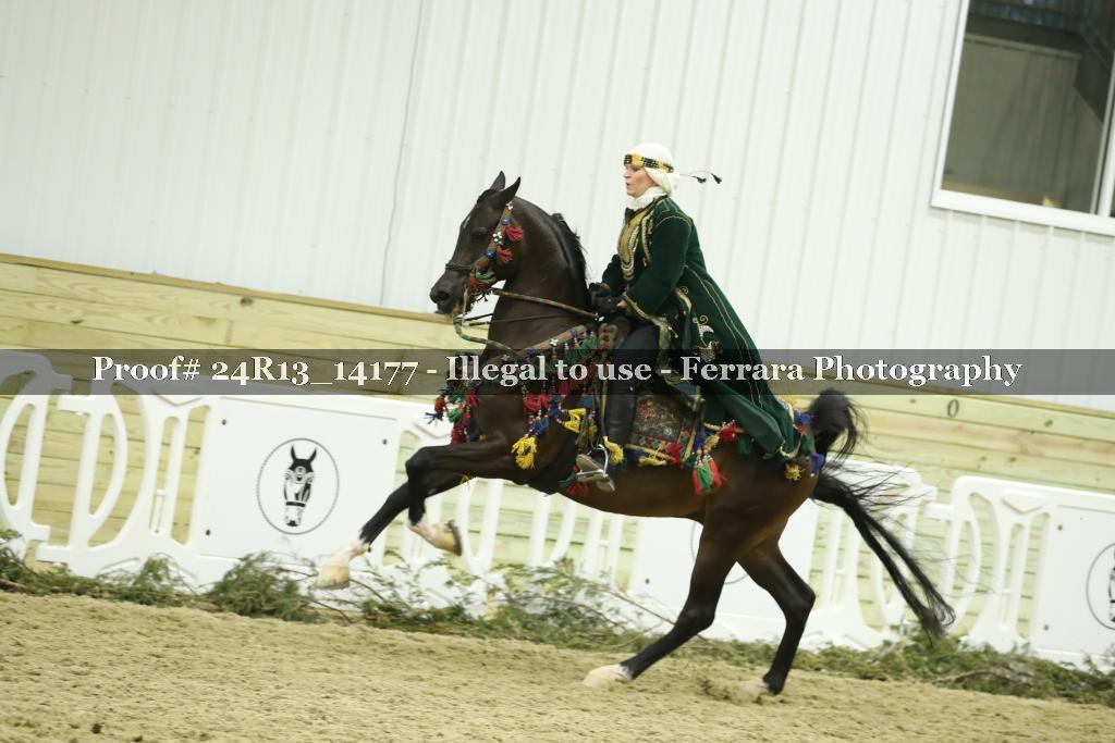 Proof 24R13_14177
