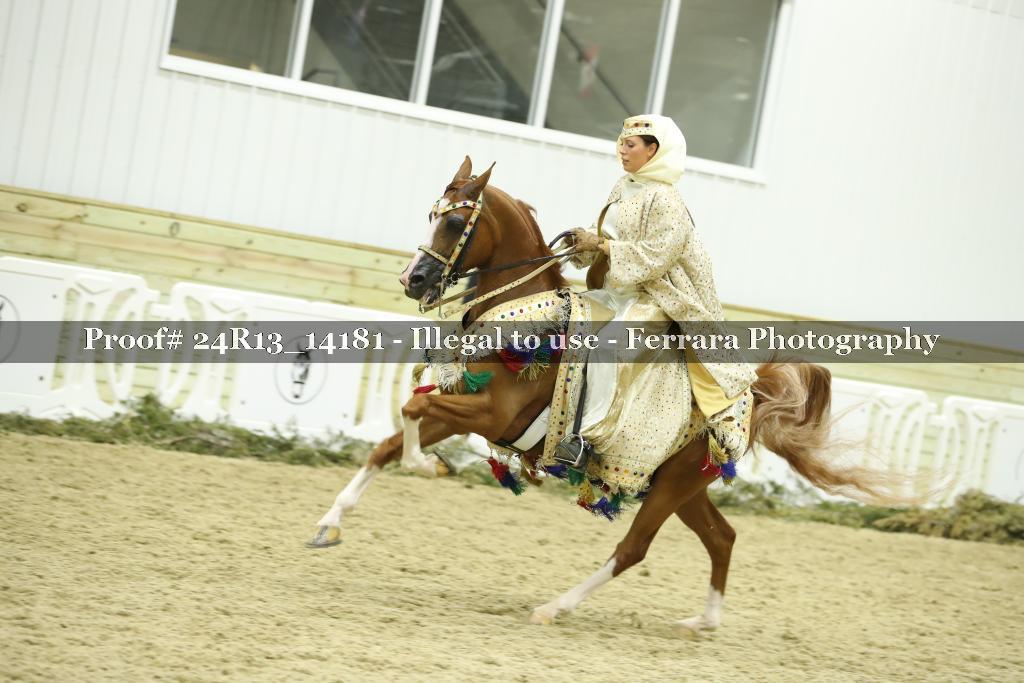 Proof 24R13_14181
