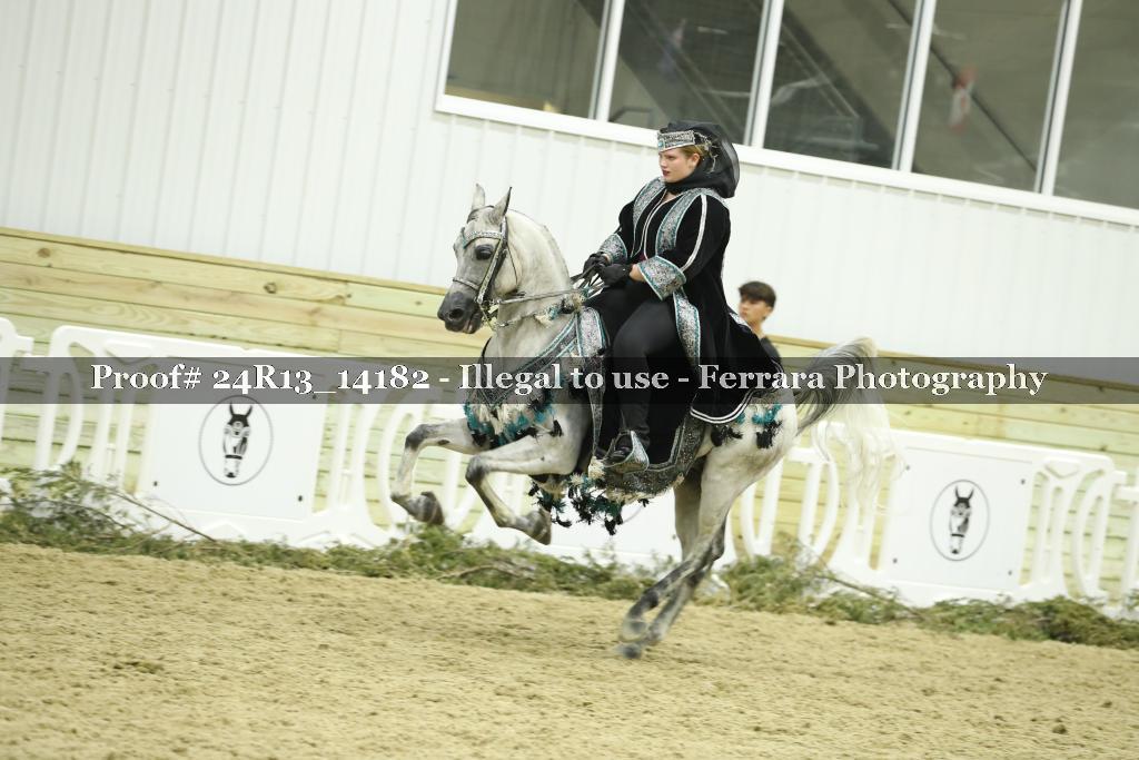 Proof 24R13_14182