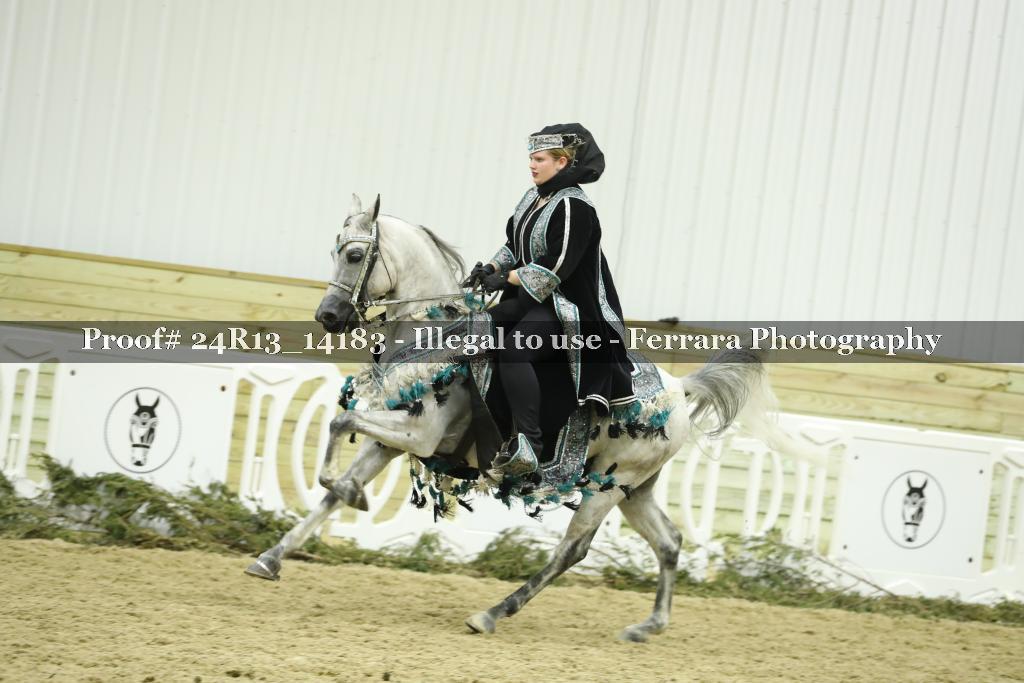 Proof 24R13_14183