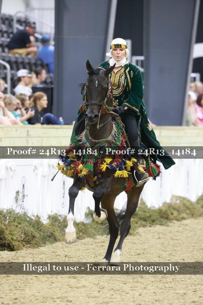 Proof 24R13_14184
