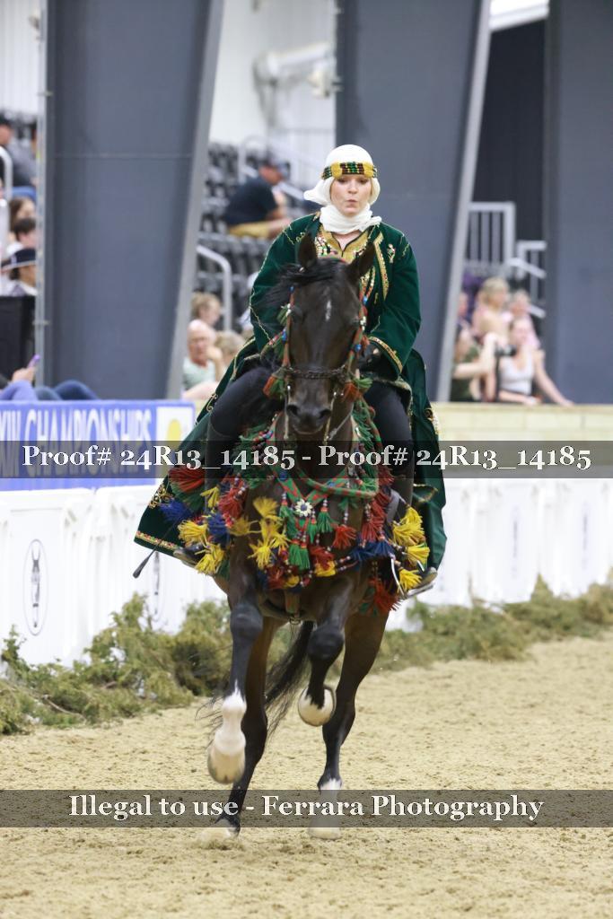 Proof 24R13_14185