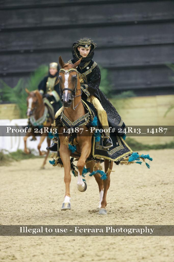 Proof 24R13_14187