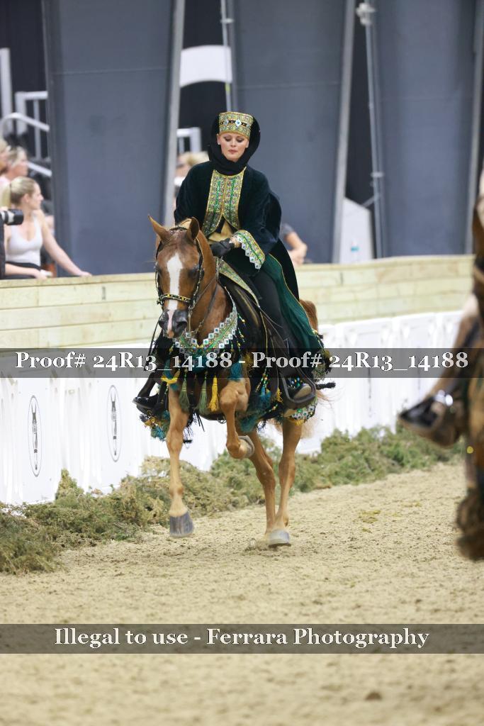 Proof 24R13_14188