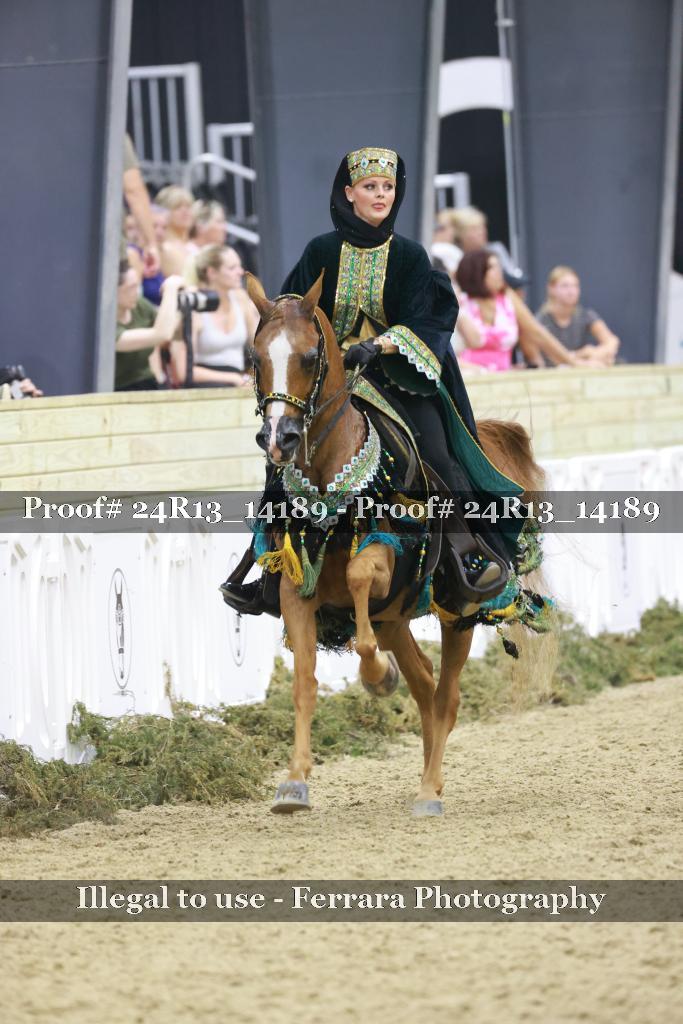 Proof 24R13_14189