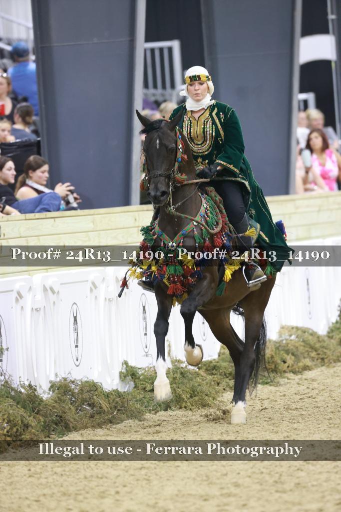 Proof 24R13_14190