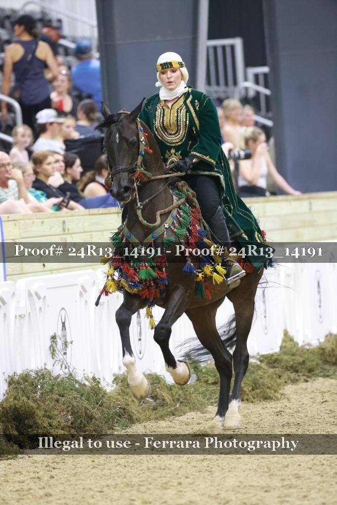 Proof 24R13_14191