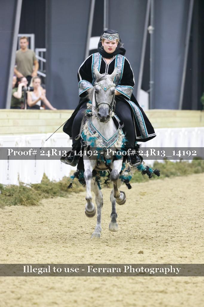 Proof 24R13_14192