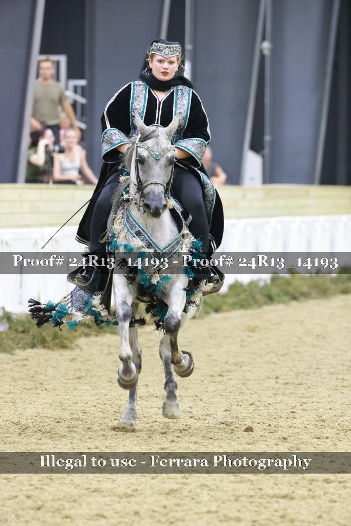Proof 24R13_14193