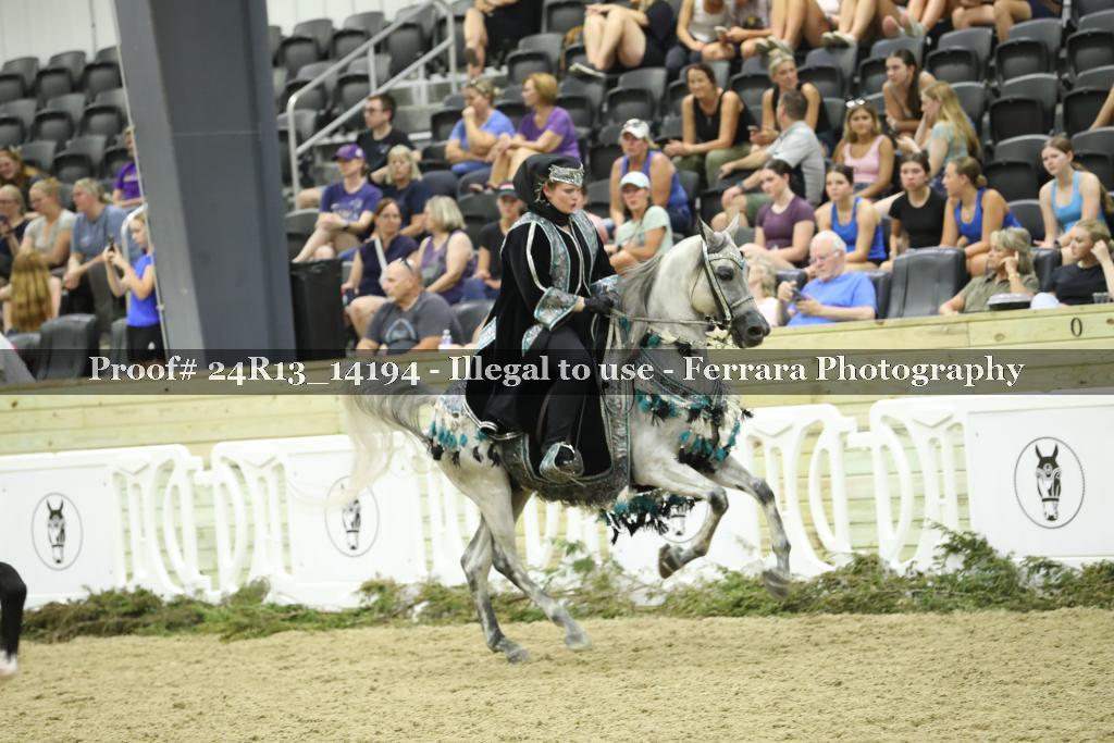 Proof 24R13_14194
