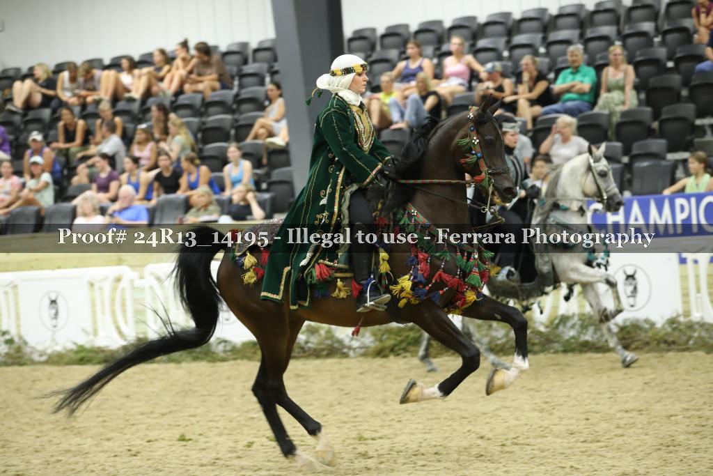 Proof 24R13_14195