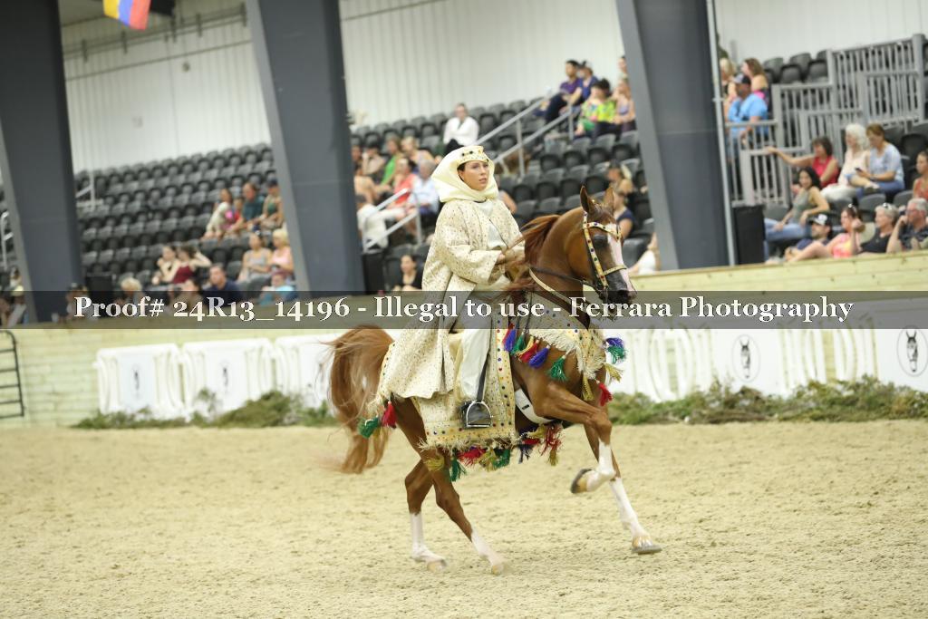 Proof 24R13_14196