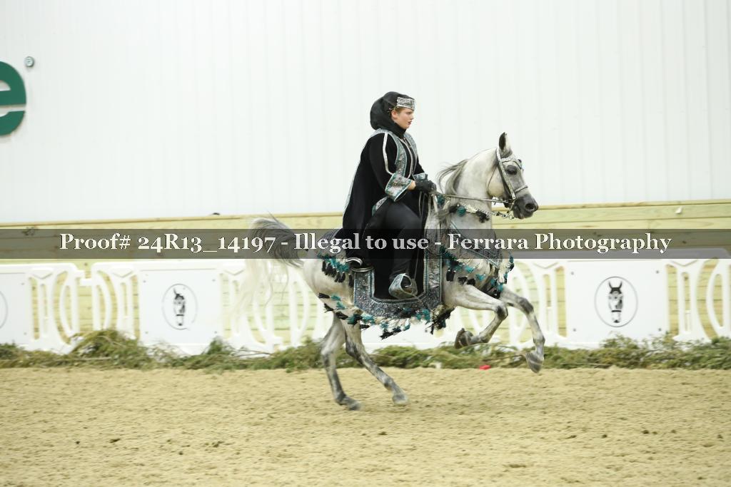 Proof 24R13_14197