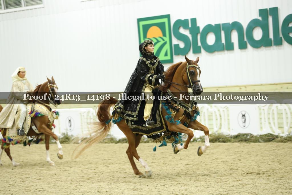 Proof 24R13_14198
