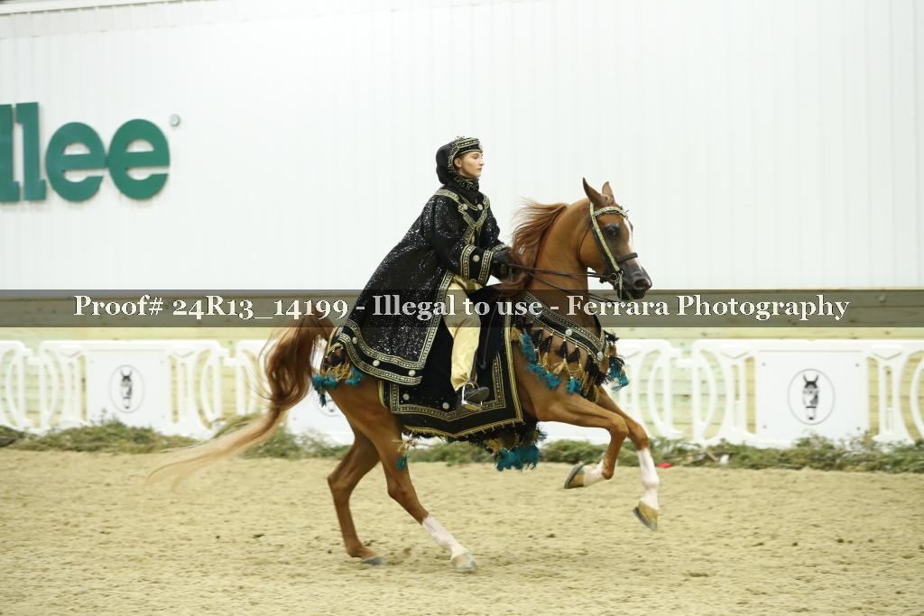 Proof 24R13_14199