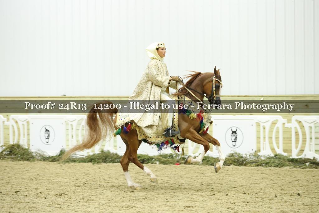 Proof 24R13_14200