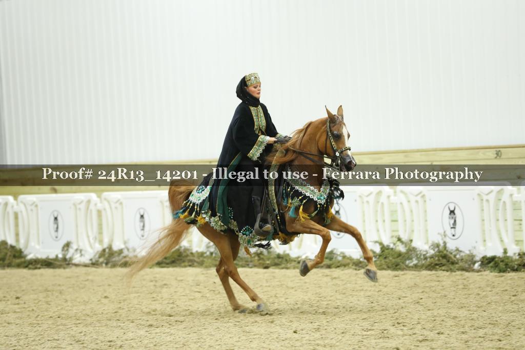 Proof 24R13_14201
