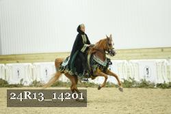 24R13_14201 proof