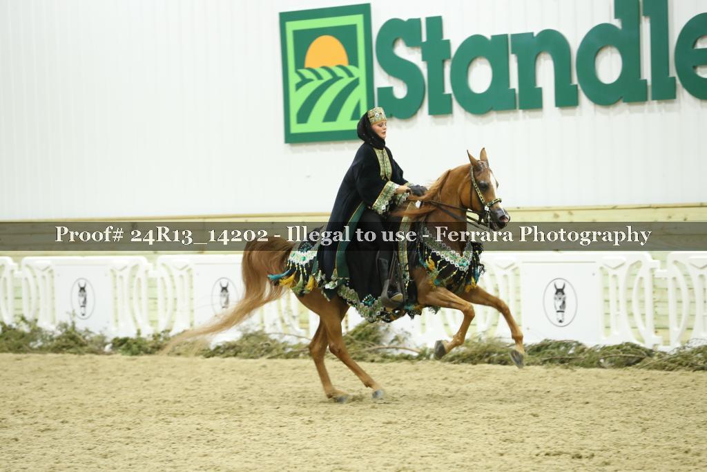 Proof 24R13_14202