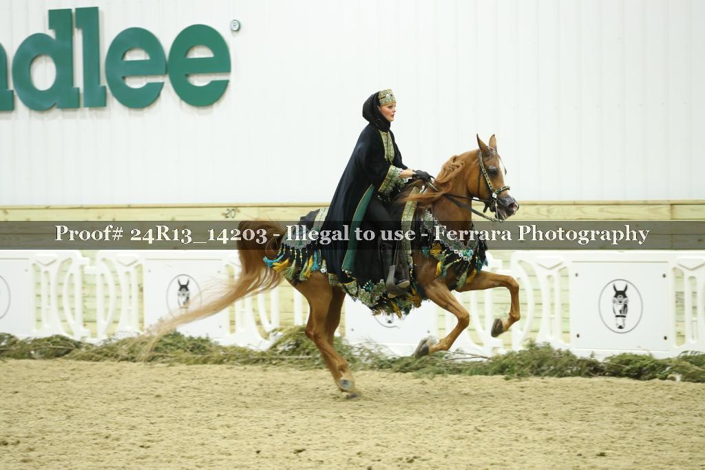 Proof 24R13_14203