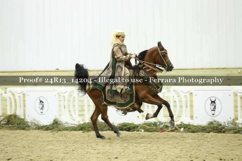 Proof 24R13_14204