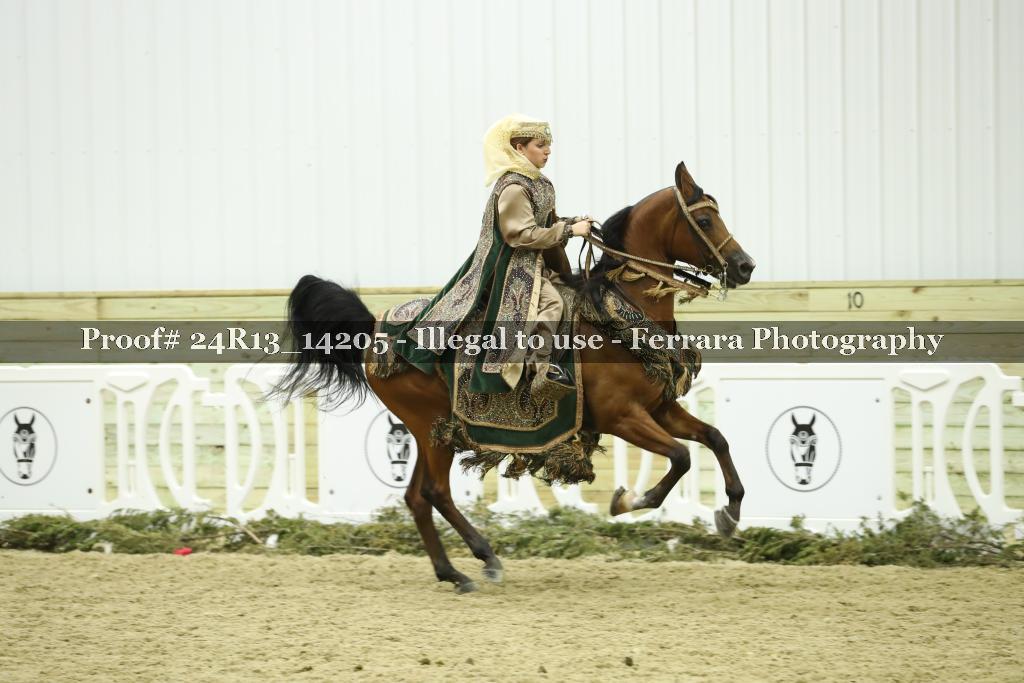 Proof 24R13_14205