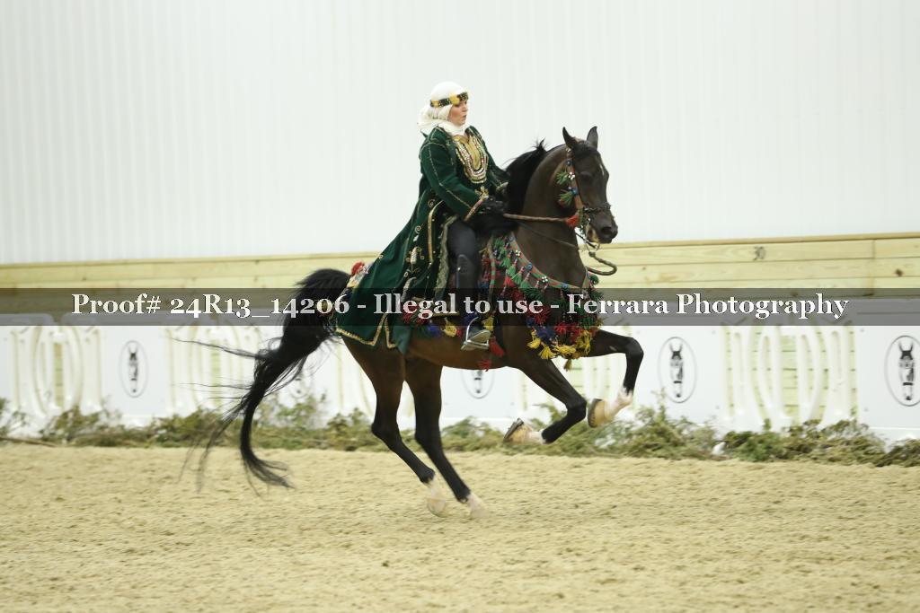 Proof 24R13_14206