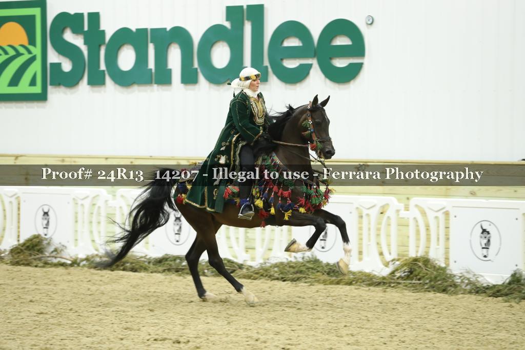 Proof 24R13_14207