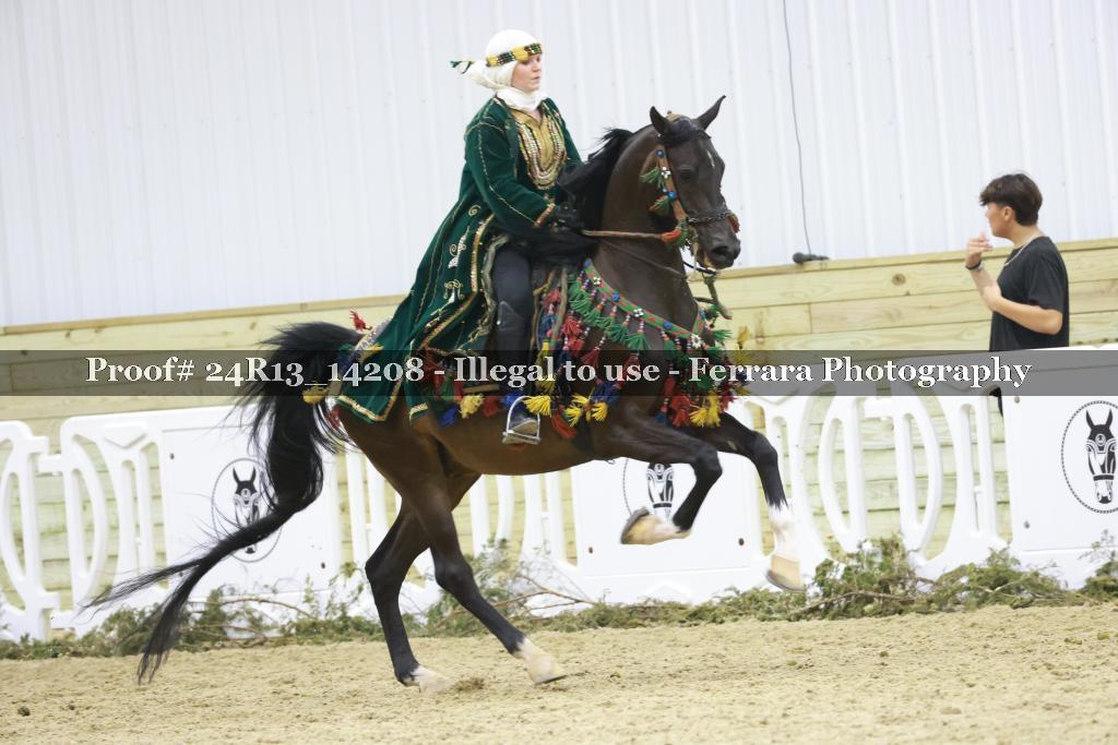 Proof 24R13_14208