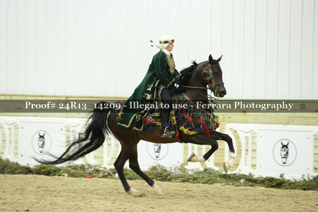 Proof 24R13_14209
