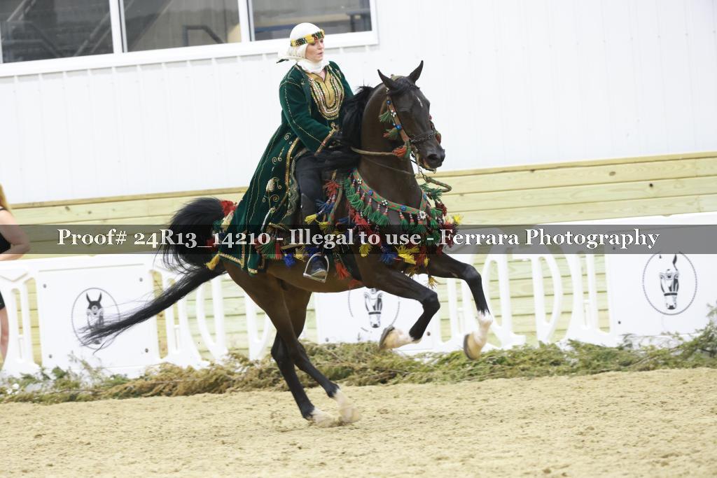 Proof 24R13_14210