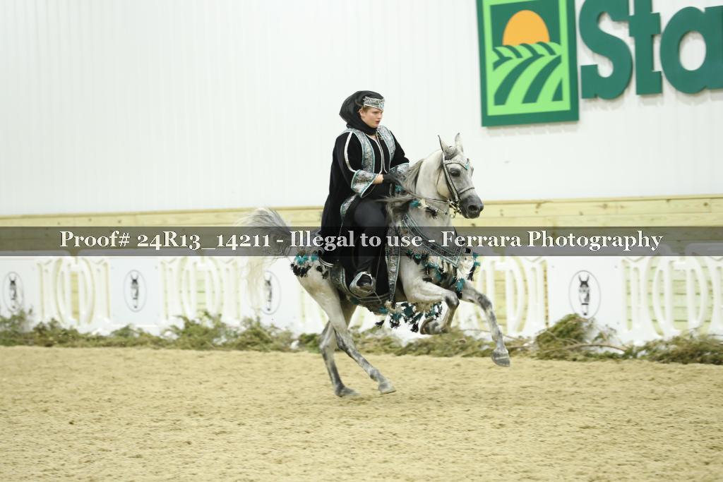 Proof 24R13_14211