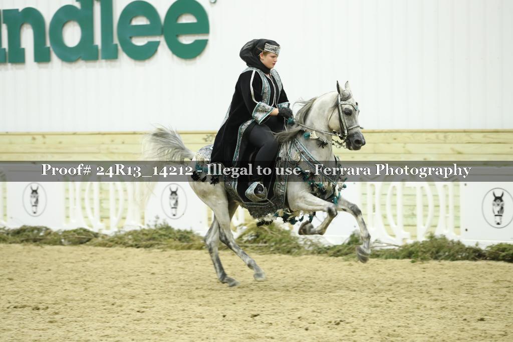 Proof 24R13_14212