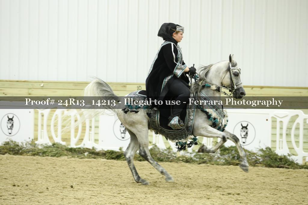 Proof 24R13_14213