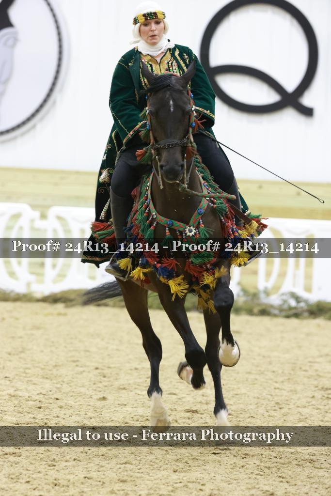 Proof 24R13_14214