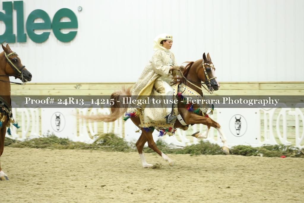 Proof 24R13_14215