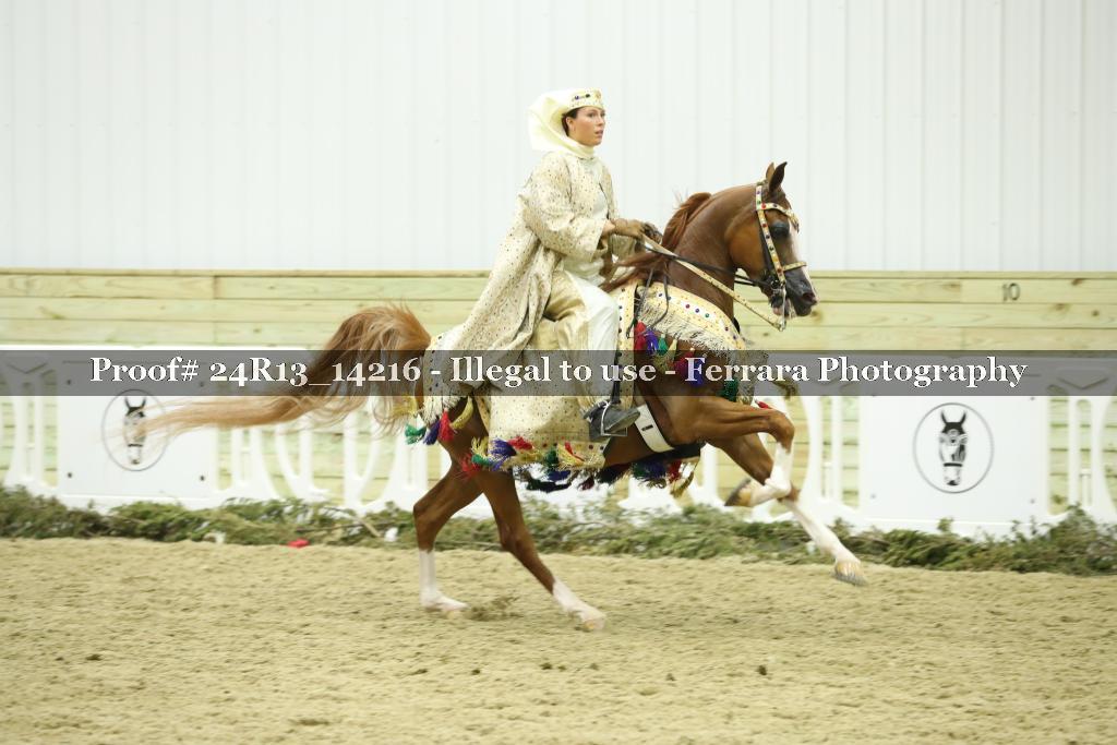 Proof 24R13_14216