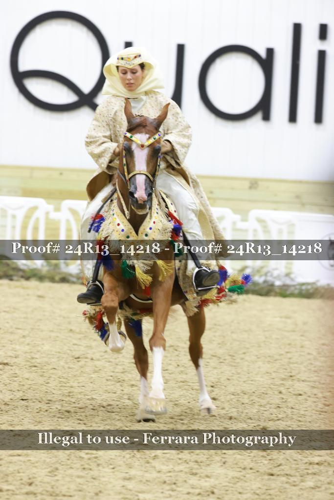 Proof 24R13_14218