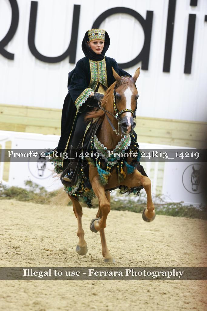 Proof 24R13_14219