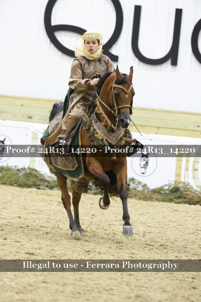 Proof 24R13_14220