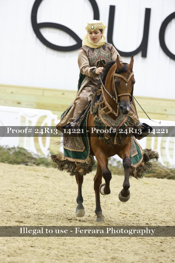 Proof 24R13_14221