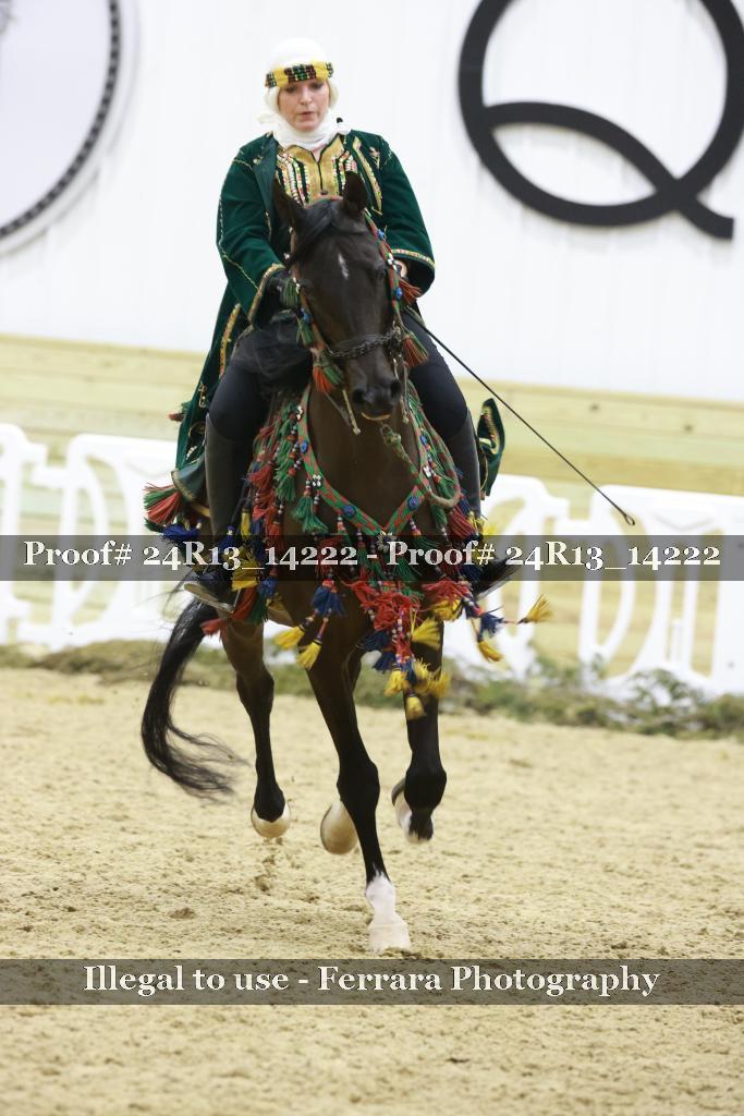 Proof 24R13_14222