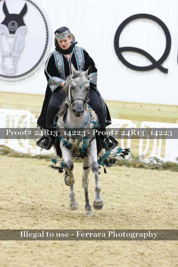 Proof 24R13_14223