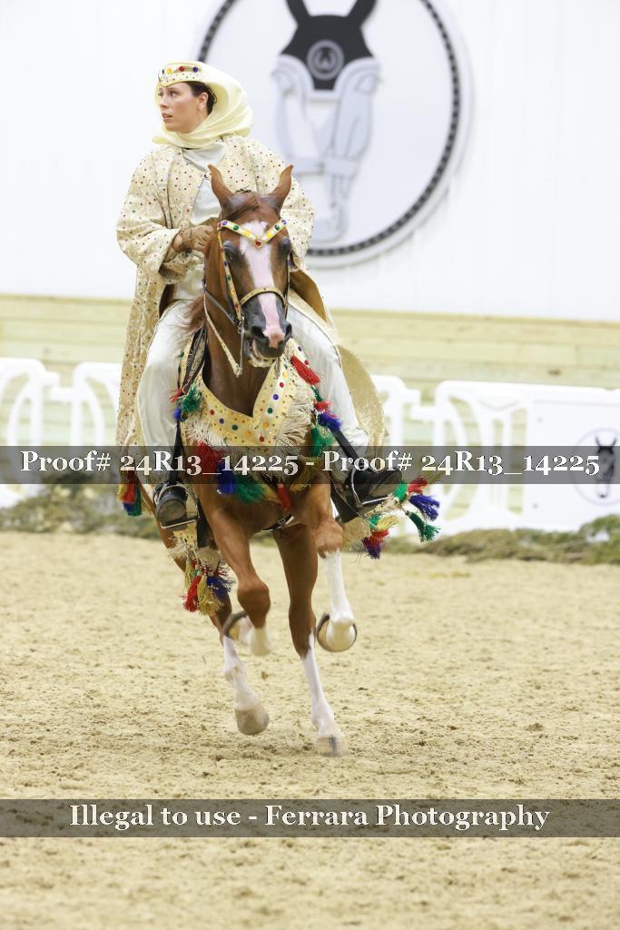 Proof 24R13_14225