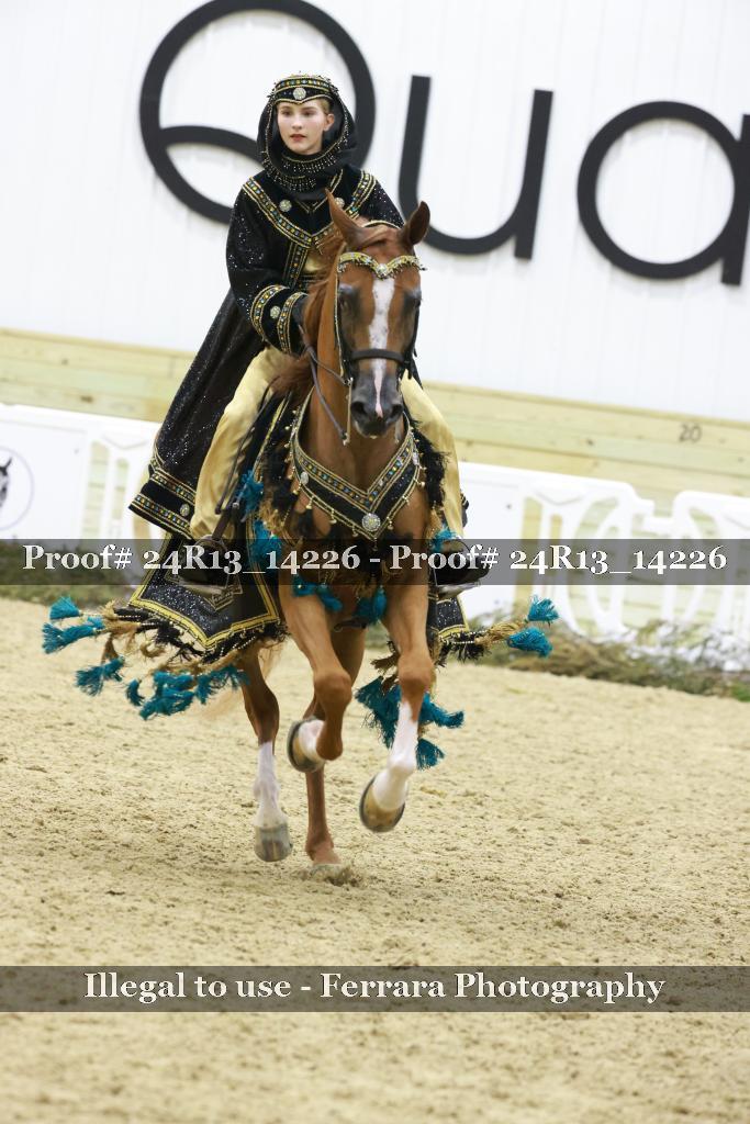 Proof 24R13_14226
