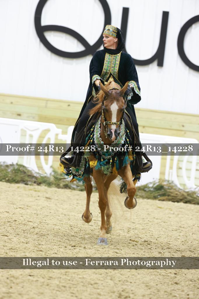 Proof 24R13_14228